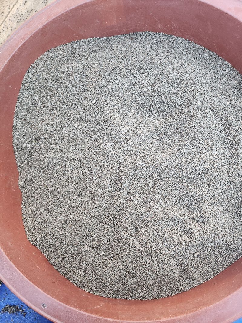 장터 상품 [들깨] 썸네일