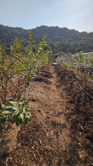 임용관님의 자유주제 · 자유게시판 작성글 사진