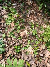 팜모닝 자유주제·자유게시판 게시글 이미지