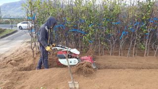 서울농원묘목님의 자유주제 · 자유게시판 작성글 사진