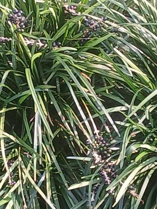 무료지식나눔 팜닥터님의 자유주제 · 사진전 작성글 사진