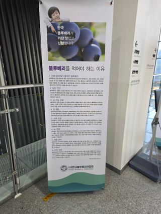 최경출님의 자유주제 · 자유게시판 작성글 사진