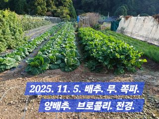 박성민님의 자유주제 · 자유게시판 작성글 사진