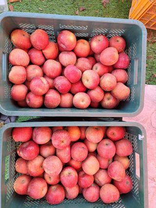 박수정님의 작성글 사진