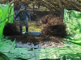 우경농원님의 자유주제 · 자유게시판 작성글 사진