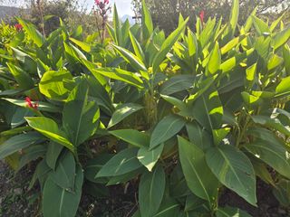 배영이님의 작성글 사진