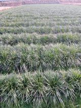 팜모닝 자유주제·사진전 게시글 이미지