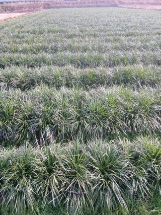 무료지식나눔 팜닥터님의 자유주제 · 사진전 작성글 사진