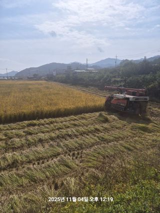 정택님의 자유주제 · 자유게시판 작성글 사진