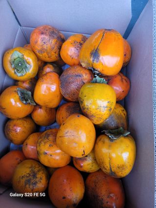 박위병님의 자유주제 · 자유게시판 작성글 사진