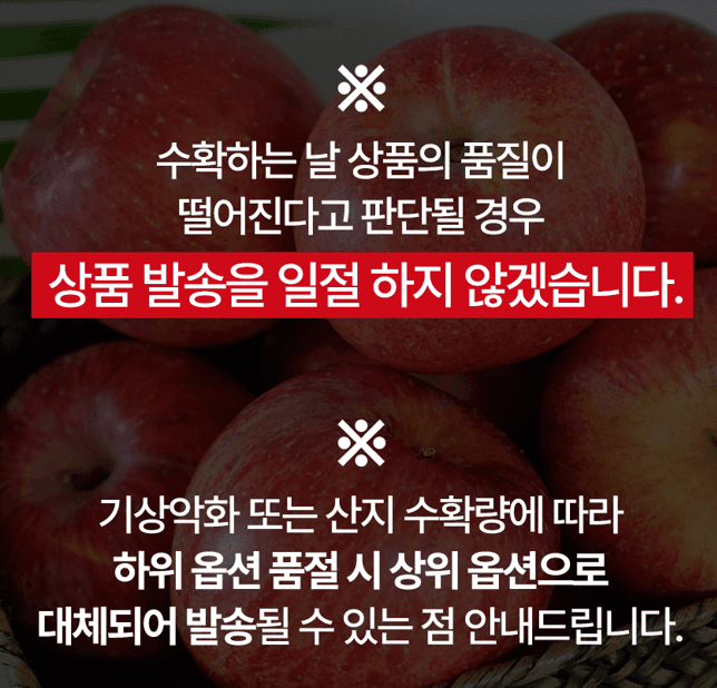 스피드번님의 장터 판매 상품 [못난이 부사사과 ] 첨부 사진