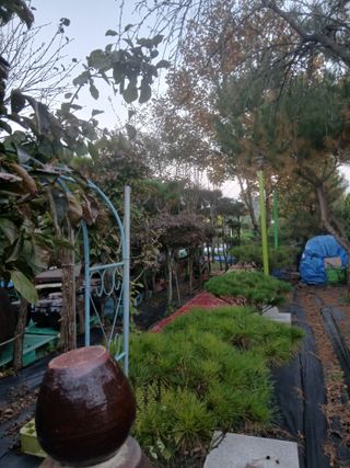 무료지식나눔 팜닥터님의 자유주제 · 자유게시판 작성글 사진