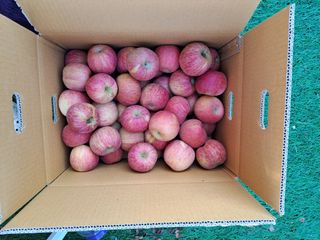 박수정님의 작성글 사진