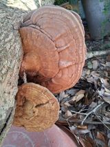 팜모닝 자유주제·자유게시판 게시글 이미지