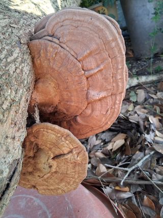 느랫골농장 가족님의 자유주제 · 자유게시판 작성글 사진