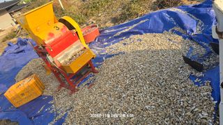 황규복(달구지)님의 작성글 사진