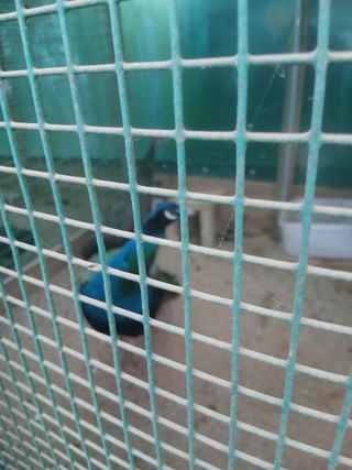 무료지식나눔 팜닥터님의 자유주제 · 자유게시판 작성글 사진