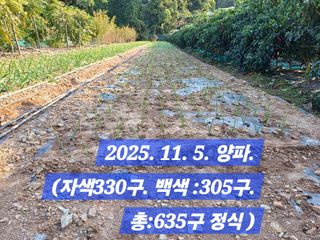 박성민님의 자유주제 · 자유게시판 작성글 사진