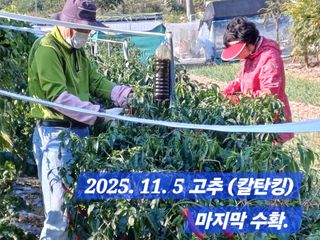 박성민님의 자유주제 · 자유게시판 작성글 사진