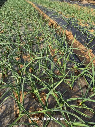 정택님의 자유주제 · 자유게시판 작성글 사진