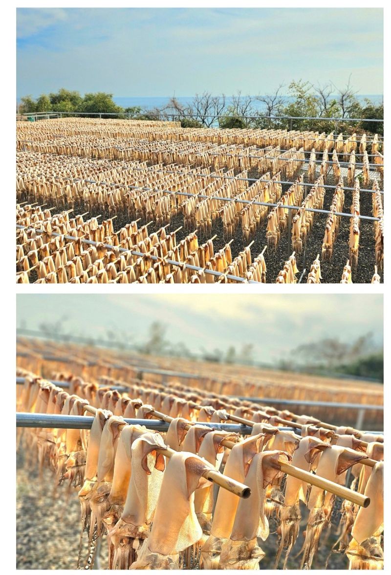 농수사님의 장터 판매 상품 [구룡포 자연산 반건조 오징어 피데기 5미(550g)] 첨부 사진