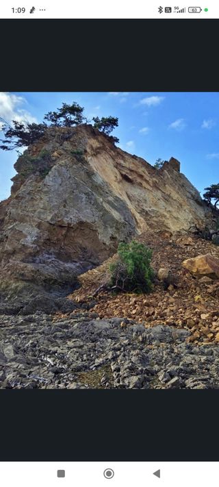 윤충기님의 자유주제 · 자유게시판 작성글 사진