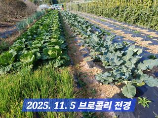 박성민님의 자유주제 · 자유게시판 작성글 사진