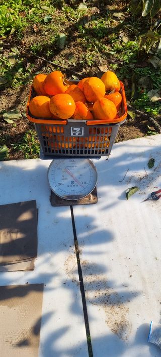 양반님의 자유주제 · 자유게시판 작성글 사진