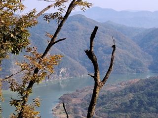 MSG0074님의 자유주제 · 자유게시판 작성글 사진