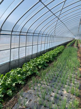 한밭농원님의 자유주제 · 자유게시판 작성글 사진