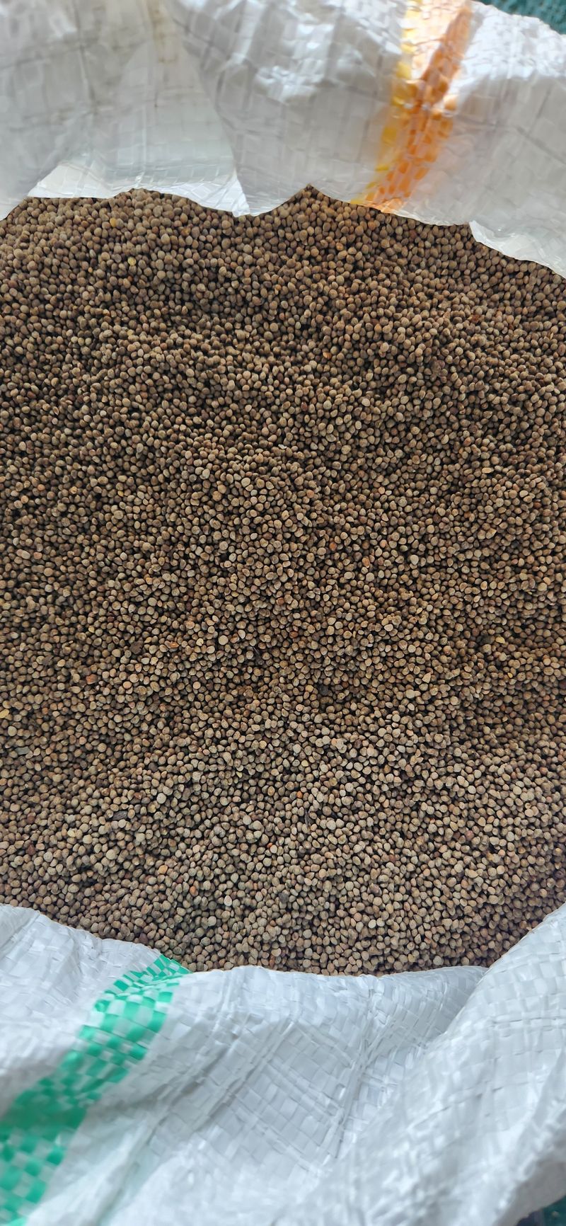 임규성님의 장터 판매 상품 [들깨, 12kg 2말] 첨부 사진