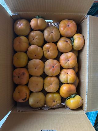 단감대봉시금치당님의 작성글 사진