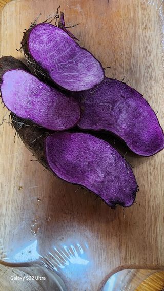 매기소골농장님의 작성글 사진