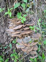 팜모닝 자유주제·자유게시판 게시글 이미지