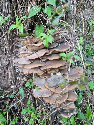 이희대님의 자유주제 · 자유게시판 작성글 사진