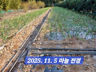 박성민님의 자유주제 · 자유게시판 작성글 사진