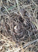 팜모닝 자유주제·자유게시판 게시글 이미지