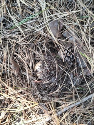 지대식님의 자유주제 · 자유게시판 작성글 사진