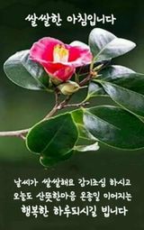 팜모닝 · 게시글 이미지