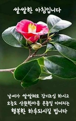 장효기님의 작성글 사진