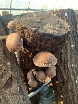 한밭농원님의 자유주제 · 자유게시판 작성글 사진