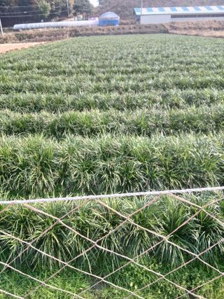 무료지식나눔 팜닥터님의 자유주제 · 사진전 작성글 사진