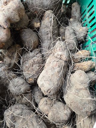 knlee님의 작성글 사진