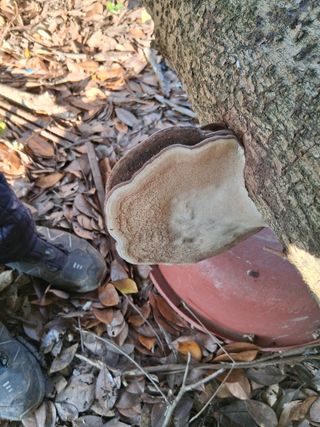 느랫골농장 가족님의 자유주제 · 자유게시판 작성글 사진