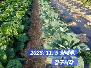 박성민님의 자유주제 · 자유게시판 작성글 사진