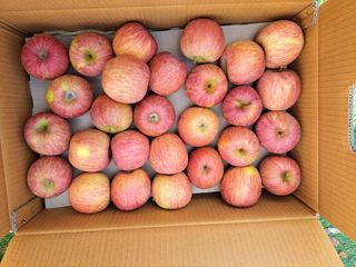 박수정님의 작성글 사진