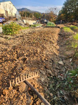 두릅나무15848님의 자유주제 · 자유게시판 작성글 사진
