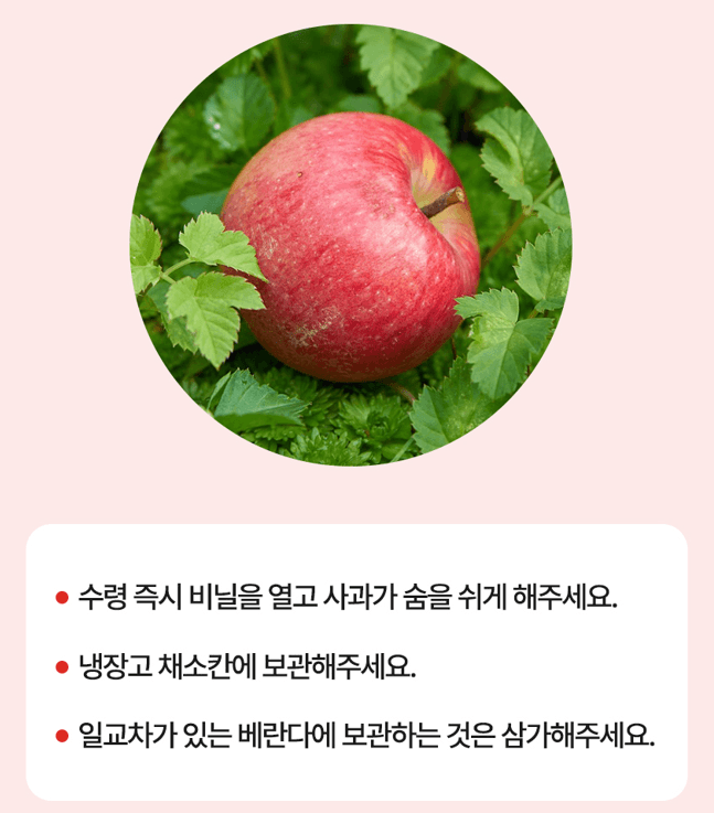 스피드번님의 장터 판매 상품 [못난이 부사사과 ] 첨부 사진