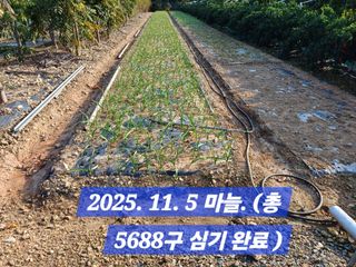 박성민님의 자유주제 · 자유게시판 작성글 사진