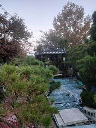 무료지식나눔 팜닥터님의 자유주제 · 자유게시판 작성글 사진